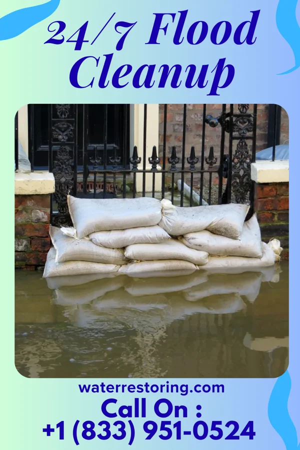 24/7 Flood Cleanup in Ojo Amarillo, NM