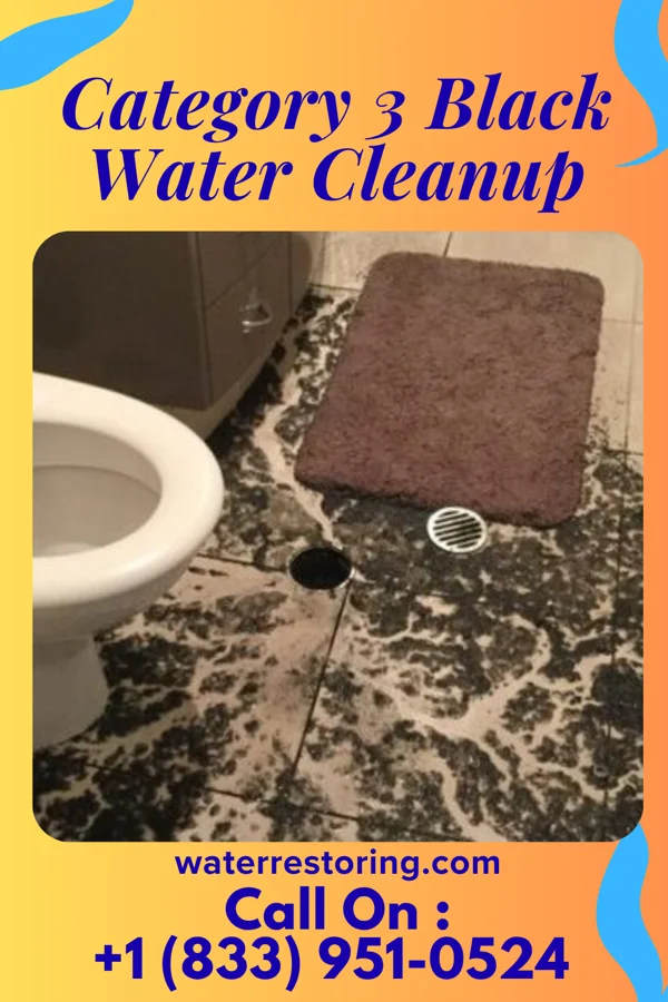 Category 3 Black Water Cleanup in Ojo Amarillo, NM