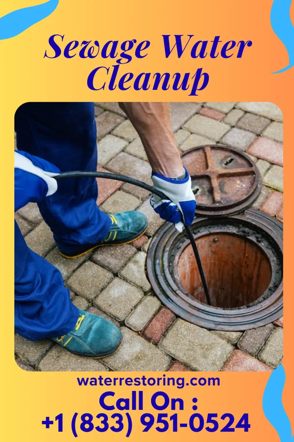 Sewage Water Cleanup in Ojo Amarillo, NM